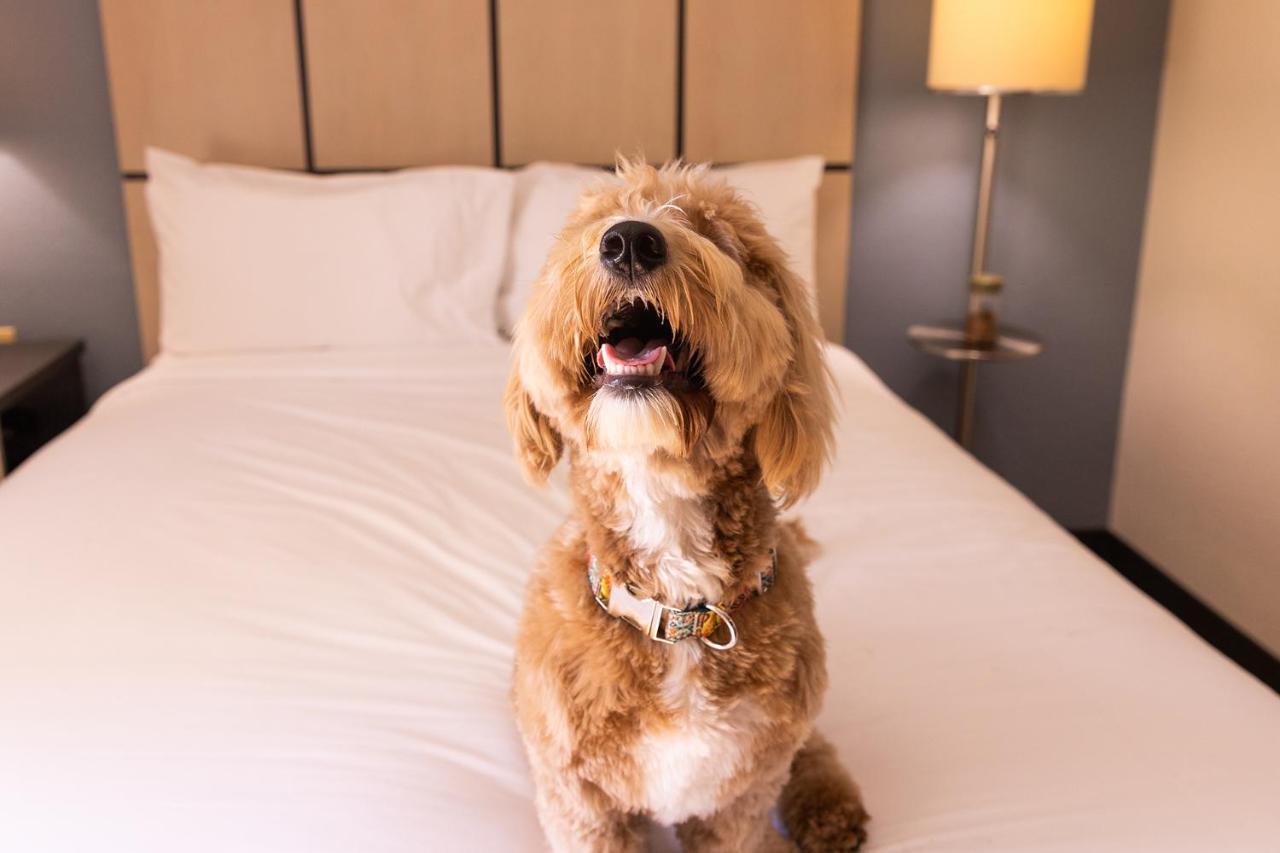 Sonesta Simply Suites Detroit Troy Kültér fotó