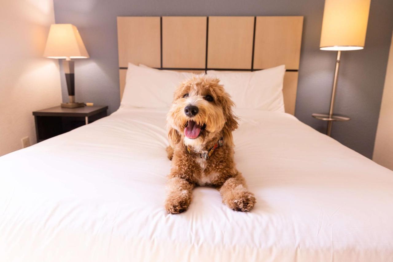 Sonesta Simply Suites Detroit Troy Kültér fotó